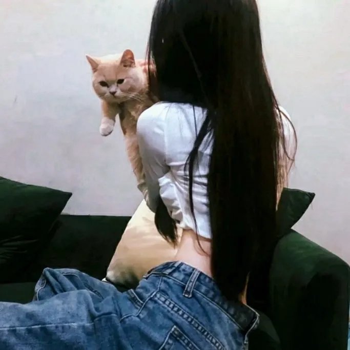 机械女仆·玛丽