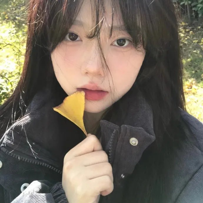 独活女子的推荐第五季